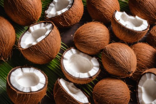 食物食品椰肉可口果實椰子攝影圖圖片 攝影圖 下載至來源處