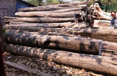 法國(guó)木材行業(yè) 經(jīng)濟(jì)復(fù)蘇趨勢(shì)下的銷售新機(jī)遇